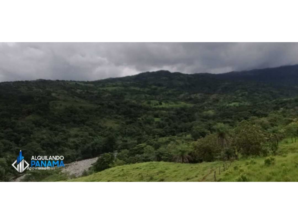 Atención agro inversionista! Vendo preciosa finca de 28 ha en Gualaca - 2