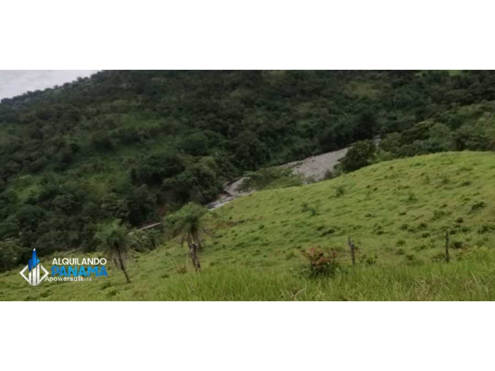 Atención agro inversionista! Vendo preciosa finca de 28 ha en Gualaca - 3