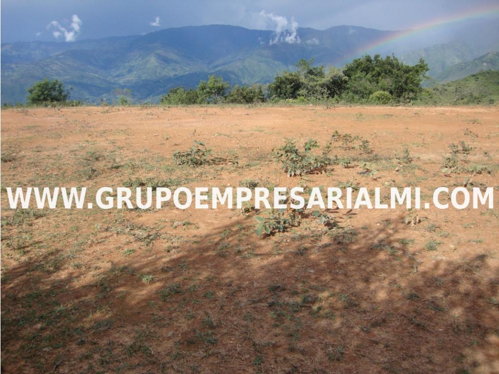 ATRACTIVO LOTE EN VENTA - SECTOR LOMA HERMOSA COD: 30398 - 1