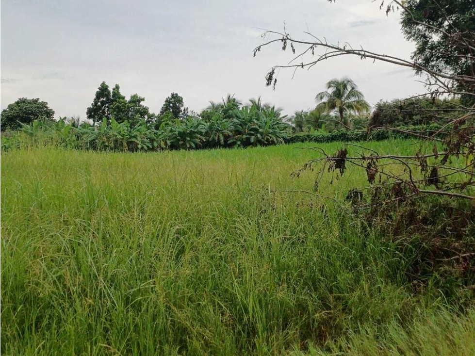 LOTE DE TERRENO EN VENTA, CORONADO, PANAMA | BAHIA SERENA UNO - RM — foto 4