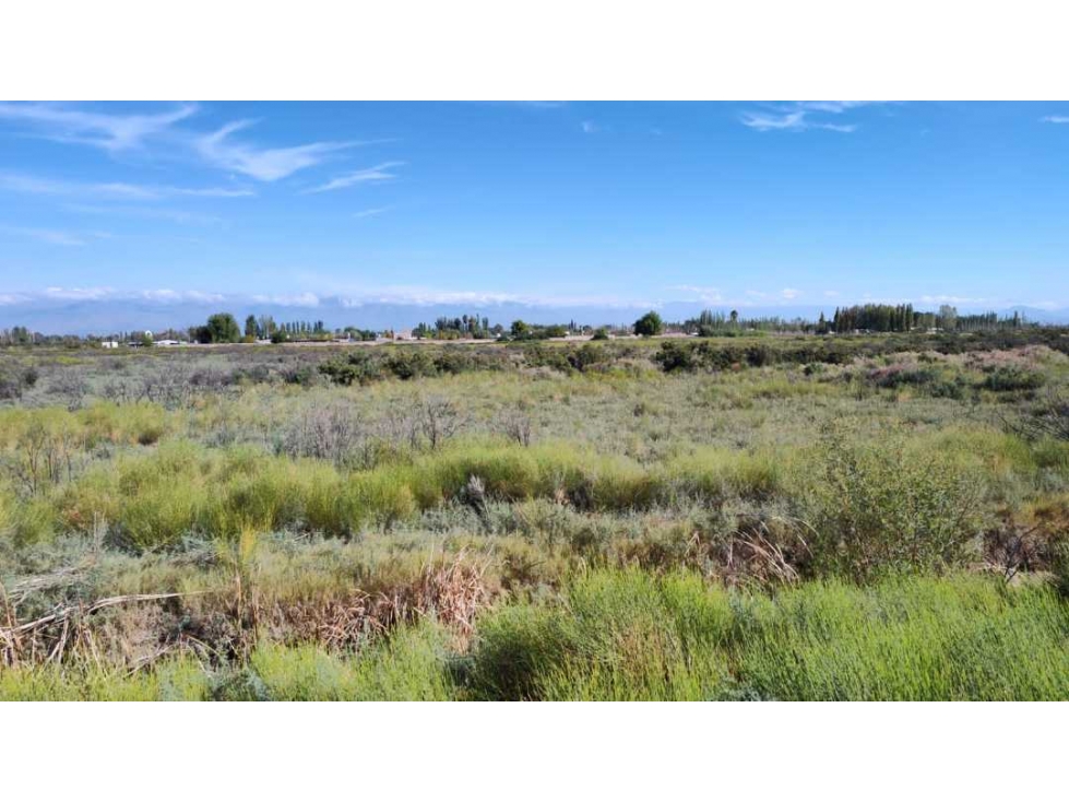 VENTA DE EXCELENTE FINCA 8.1 HAS EN LOS CORRALITOS, GUAYMALLÉN-MZA. - 1
