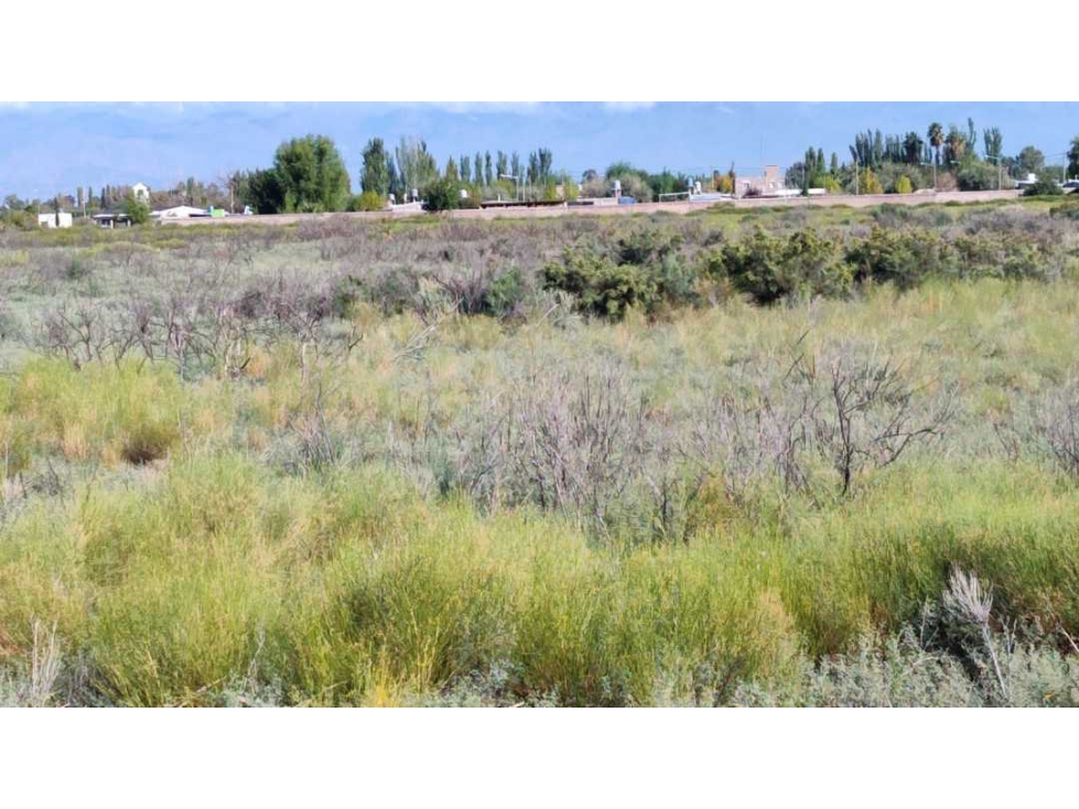 VENTA DE EXCELENTE FINCA 8.1 HAS EN LOS CORRALITOS, GUAYMALLÉN-MZA. - 3