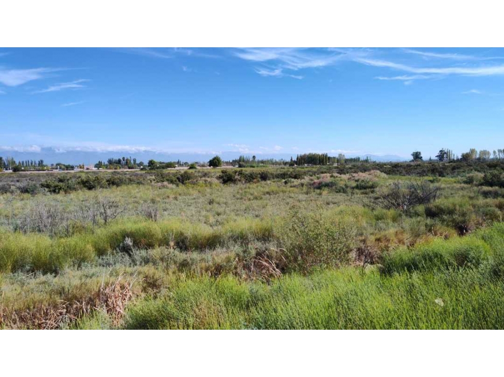 VENTA DE EXCELENTE FINCA 8.1 HAS EN LOS CORRALITOS, GUAYMALLÉN-MZA. - 5
