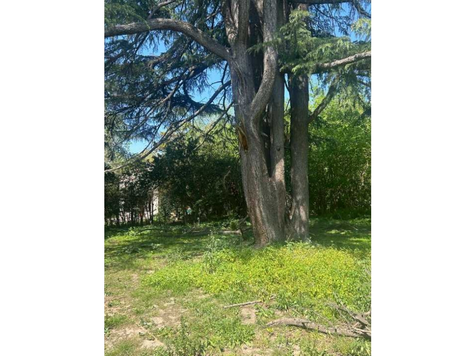 Barrio Parque Juralo, Parada Robles - 1