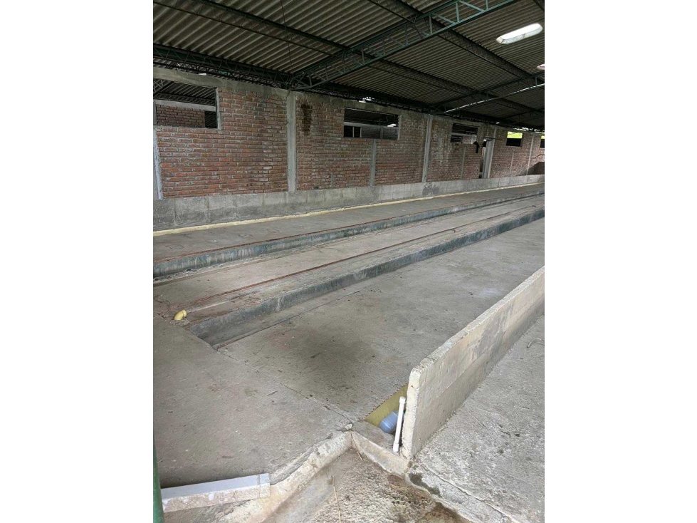 Bodega en arriendo en filandia para cultivo o almacenamiento - 5