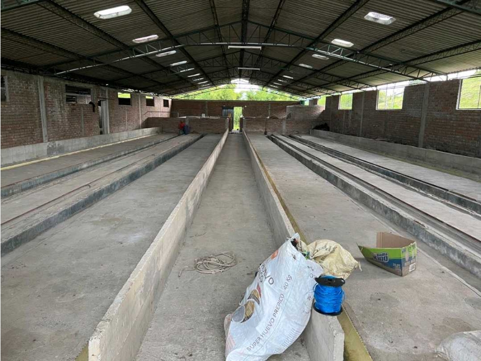 Bodega en arriendo en filandia para cultivo o almacenamiento - 4