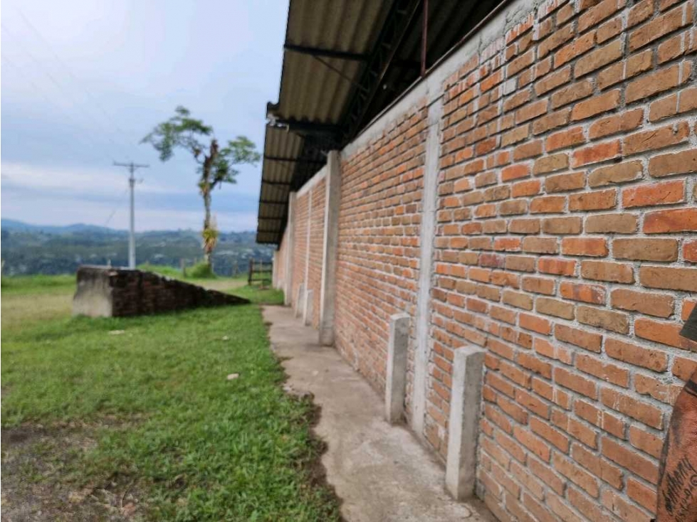 Bodega en arriendo en filandia para cultivo o almacenamiento - 3