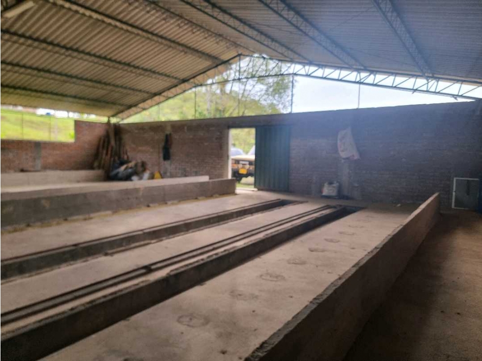 Bodega en arriendo en filandia para cultivo o almacenamiento - 6