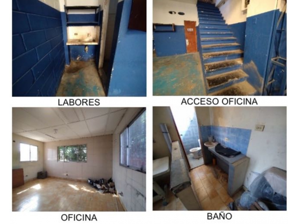 Bodega en barrio abajo en alquiler o venta - 2
