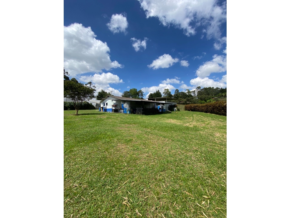 Bodega para la venta en Vereda Barro Blanco, Rionegro - 4