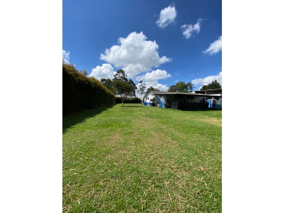 Bodega para la venta en Vereda Barro Blanco, Rionegro - 5