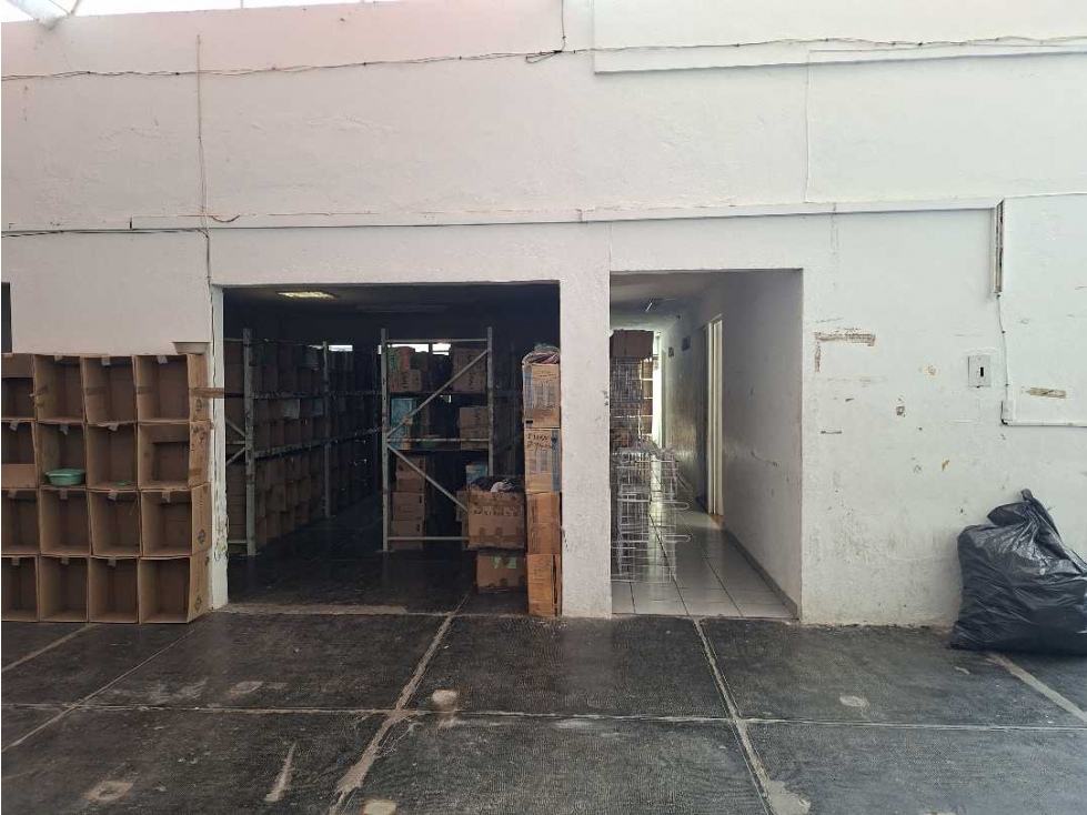 BODEGA CON OFICINAS EN RENTA EN PRIVADA EN LAS PALMAS - 5
