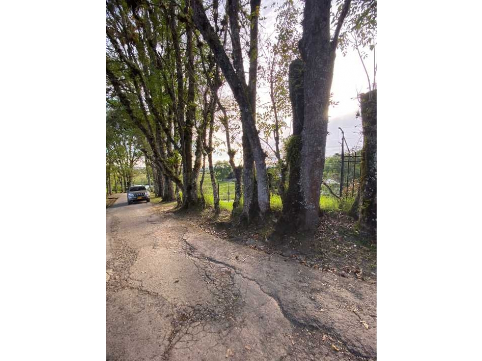 BROKER lote en venta Cerritos de la Paz en Popayán - 2