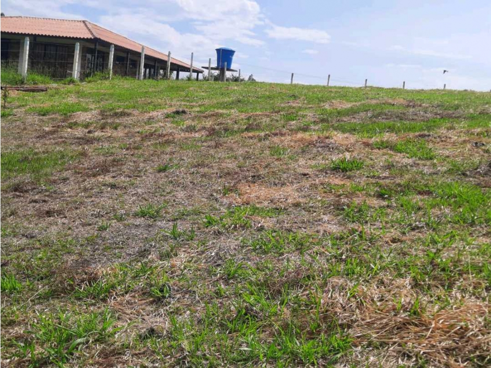 BROKER - LOTE EN VENTA EN CONDOMINIO LAS MARGARITAS POPAYAN — foto 4