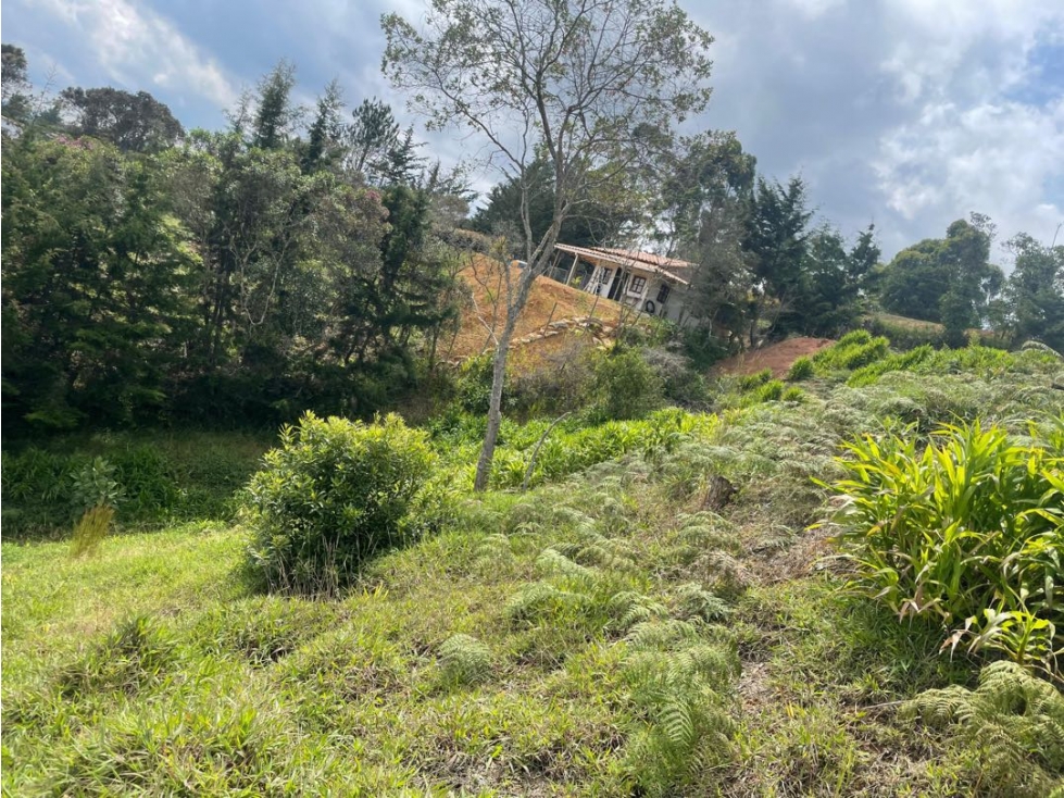 Buen lote CHAPARRAL SAN VICENTE — foto 4