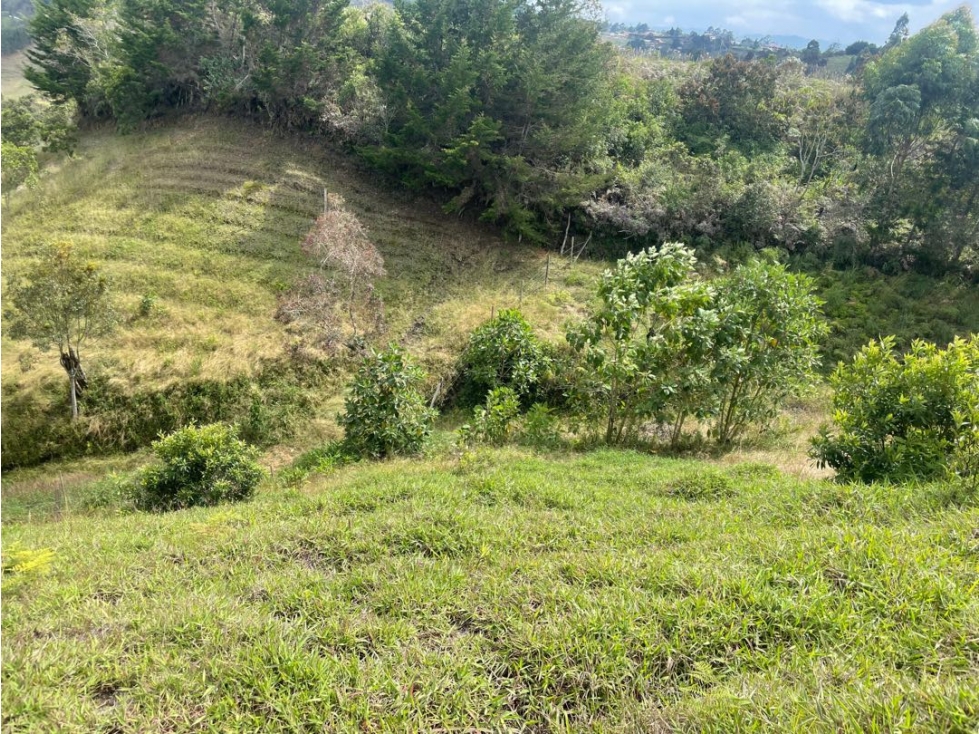 Buen lote CHAPARRAL SAN VICENTE — foto 5