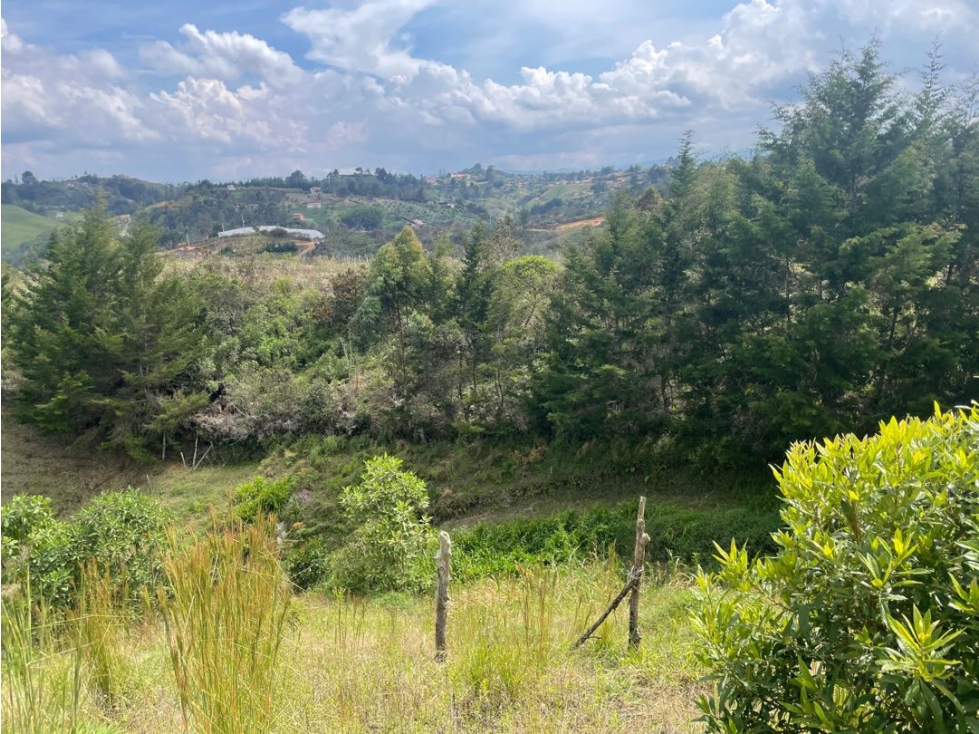 Buen lote CHAPARRAL SAN VICENTE — foto 6