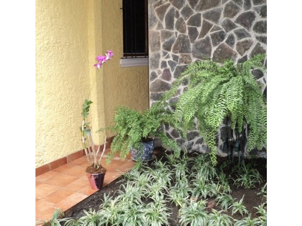 Building in Bella Vista — foto 3