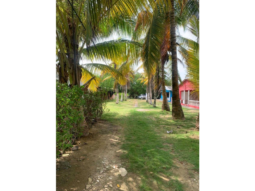 Cabaña en venta en Moñitos lote de 344 m2- 68 m2 de construcción. - 6