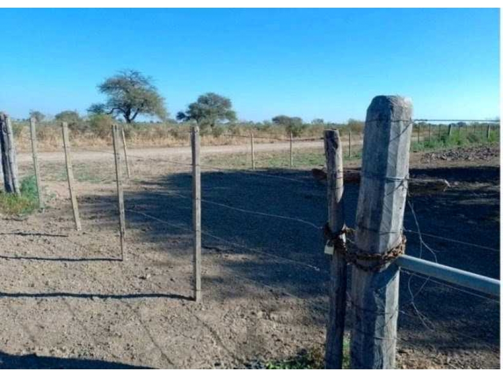 CAMOO 760 HECTAREAS, MALBRAN, SANTIAGO DEL ESTERO, ARGENTINA - 2