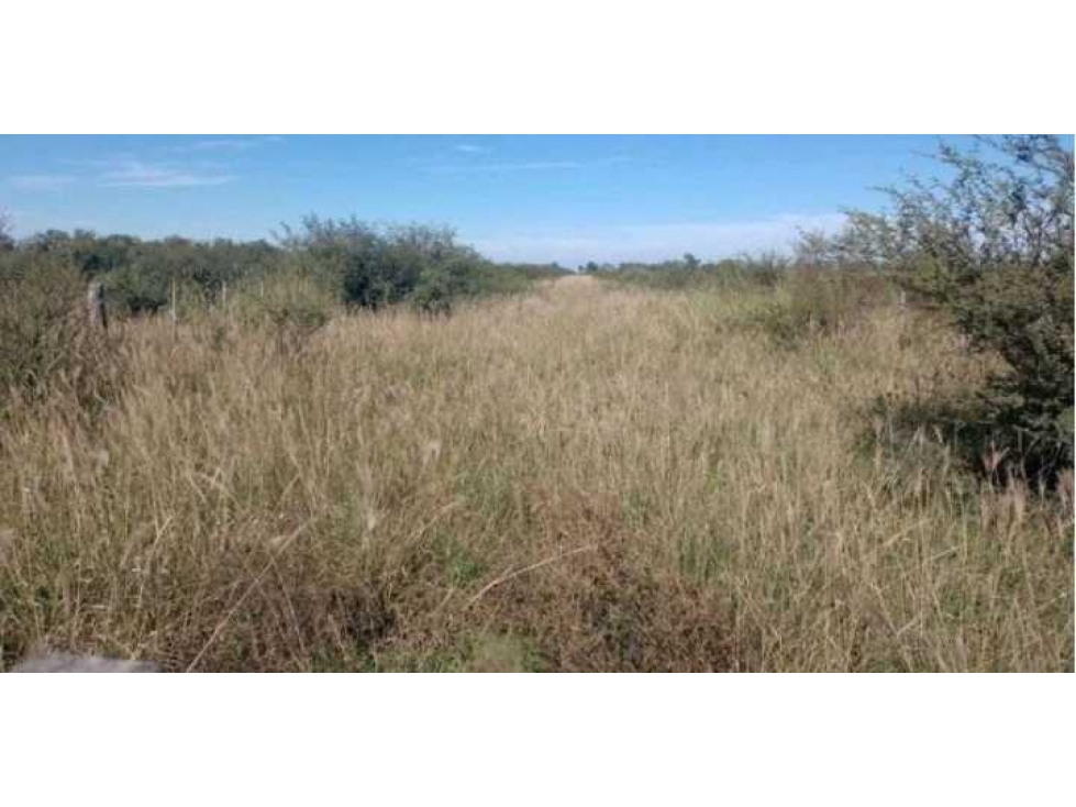 CAMOO 760 HECTAREAS, MALBRAN, SANTIAGO DEL ESTERO, ARGENTINA - 3