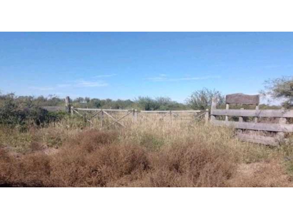 CAMOO 760 HECTAREAS, MALBRAN, SANTIAGO DEL ESTERO, ARGENTINA - 5