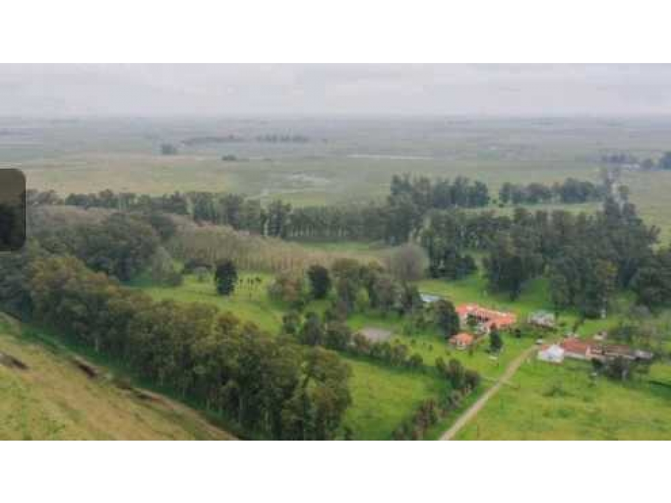 CAMPO1795 HAS GANADERO, CHASCOMUS, PCIA.BUENOS AIRES, ARGENTINA - 2