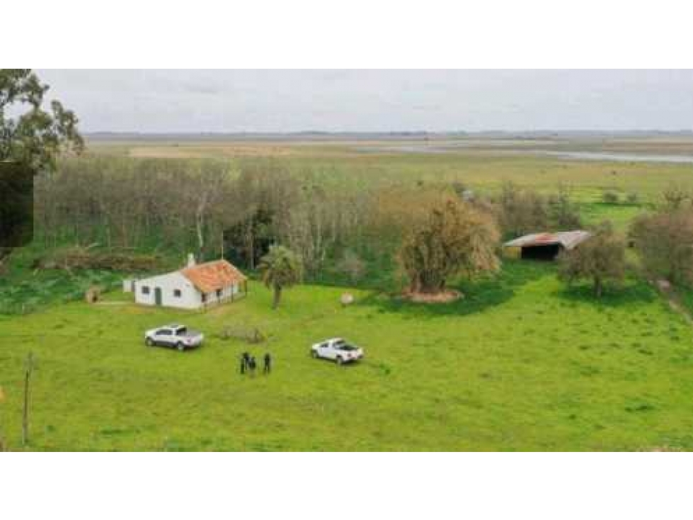 CAMPO1795 HAS GANADERO, CHASCOMUS, PCIA.BUENOS AIRES, ARGENTINA - 4