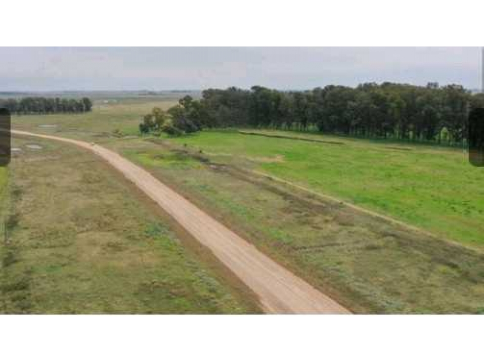 CAMPO1795 HAS GANADERO, CHASCOMUS, PCIA.BUENOS AIRES, ARGENTINA - 5