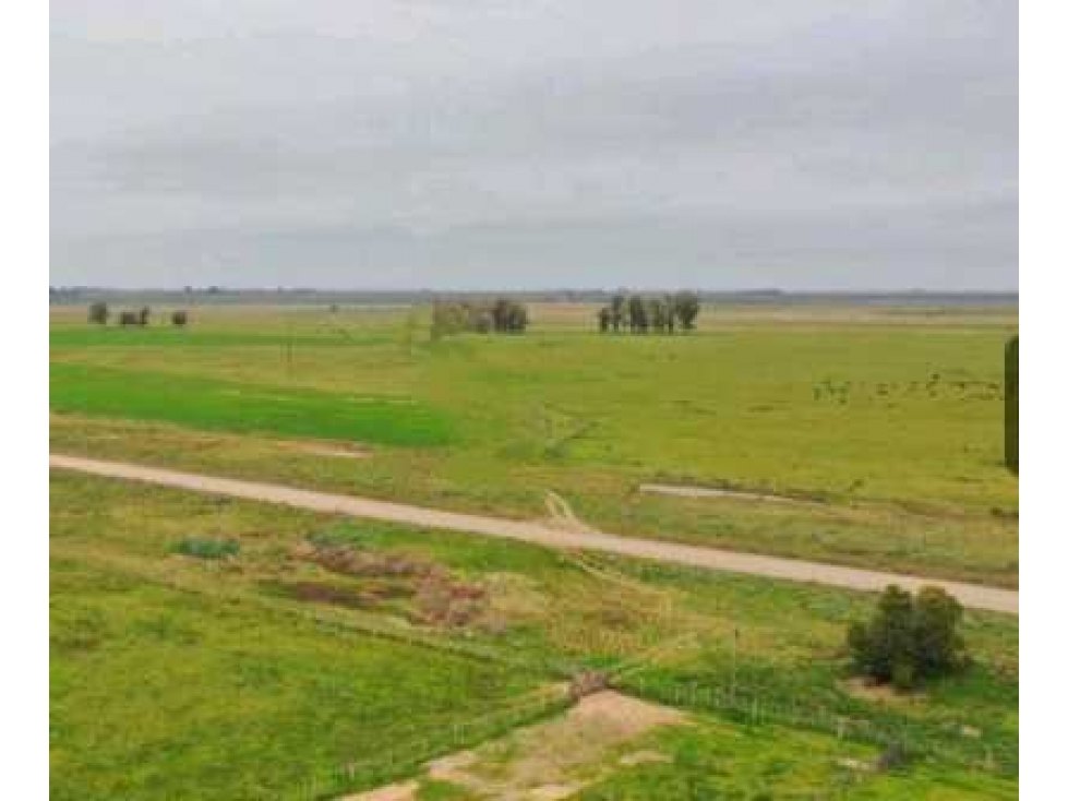 CAMPO1795 HAS GANADERO, CHASCOMUS, PCIA.BUENOS AIRES, ARGENTINA - 6