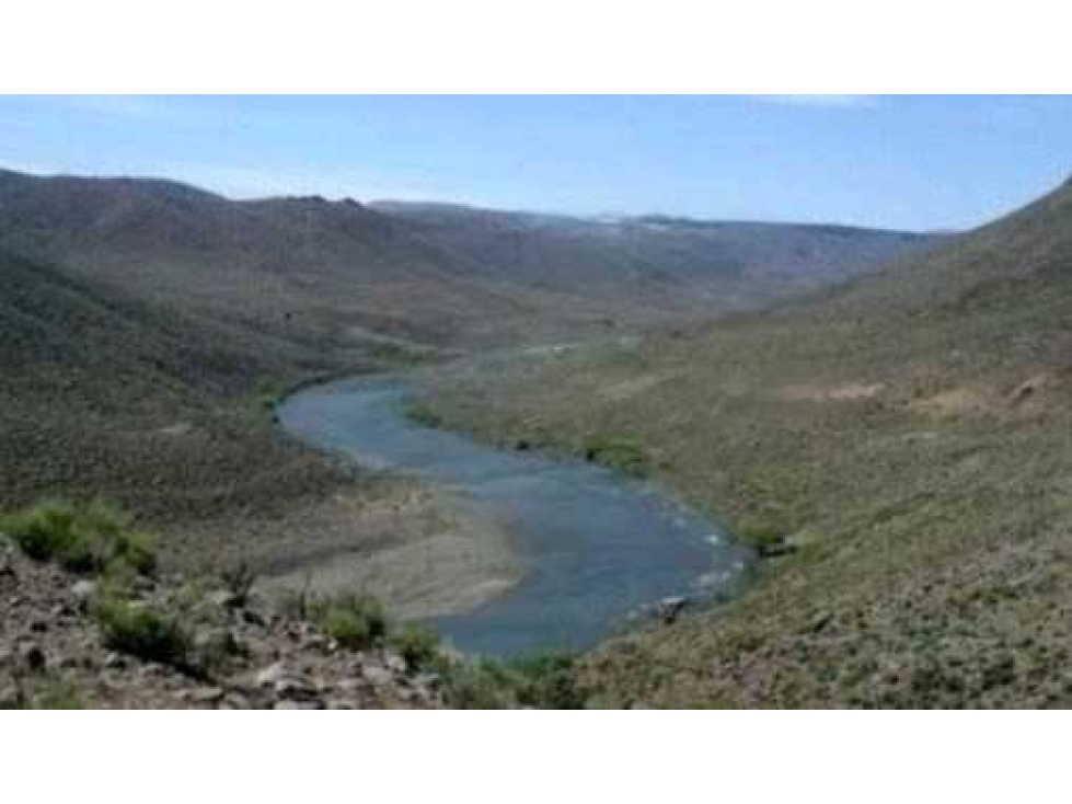 CAMPO 10.000 HECTAREAS, MIXTO NEUQUEN, ARGENTINA - 3