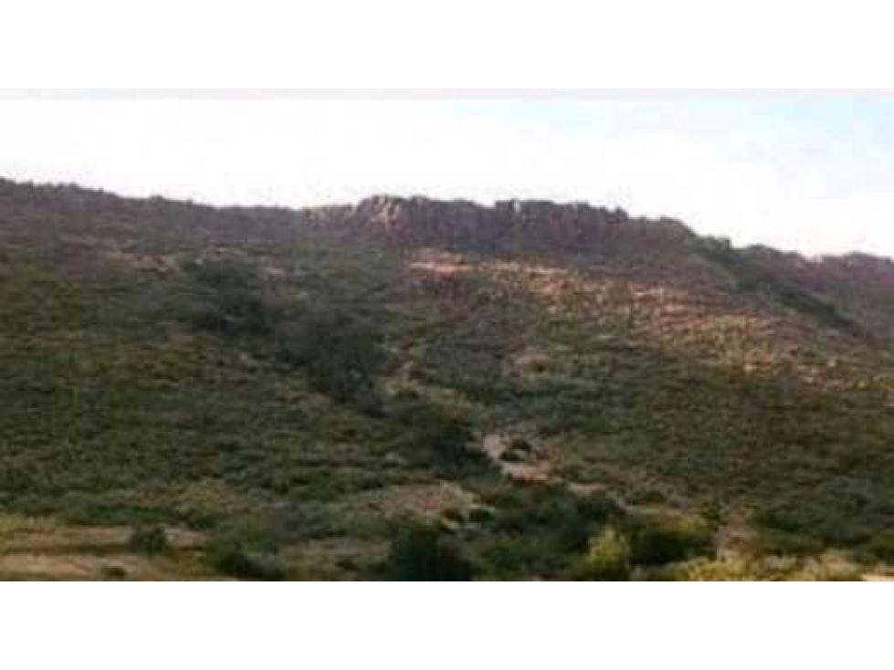 CAMPO 10.000 HECTAREAS, MIXTO NEUQUEN, ARGENTINA - 4