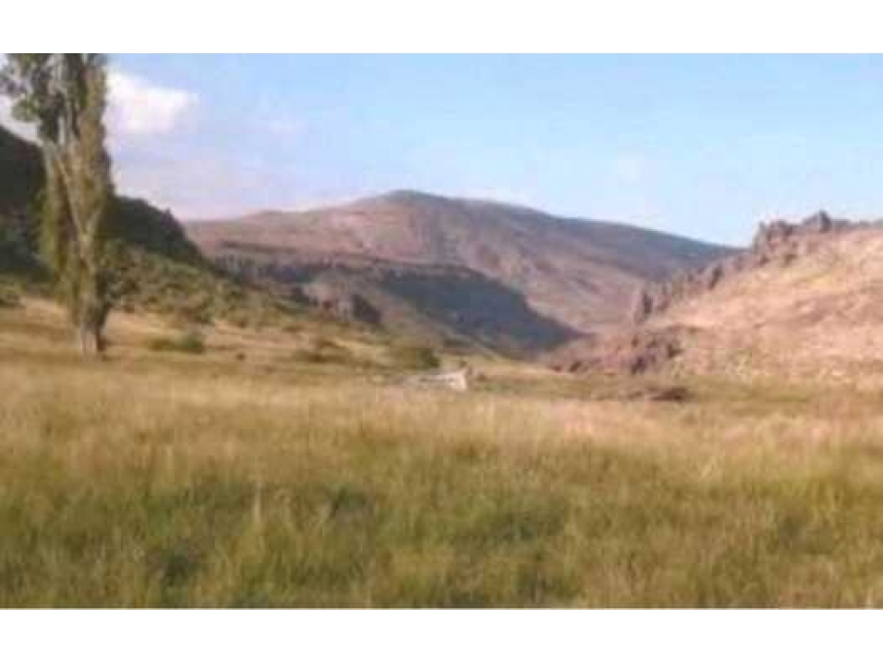 CAMPO 10.000 HECTAREAS, MIXTO NEUQUEN, ARGENTINA - 5