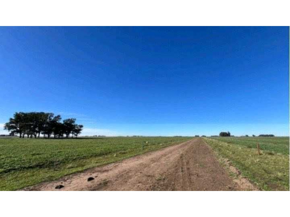 CAMPO 1003 HECTAREAS MIXTAS, TRES ARROYOS, BUENOS AIRES, ARGENTINA - 1