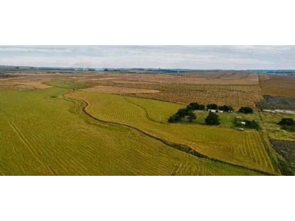 CAMPO 1007 HECTAREAS,AGRICOLA, TANDIL, BUENOS AIRES, ARGENTINA - 1