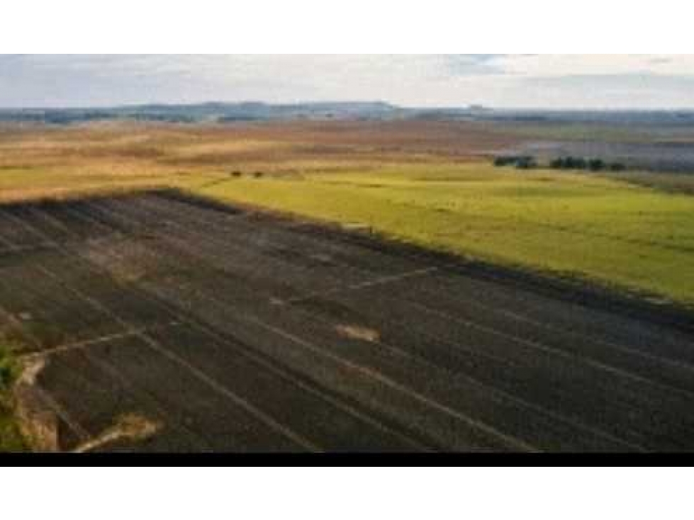 CAMPO 1007 HECTAREAS,AGRICOLA, TANDIL, BUENOS AIRES, ARGENTINA - 2