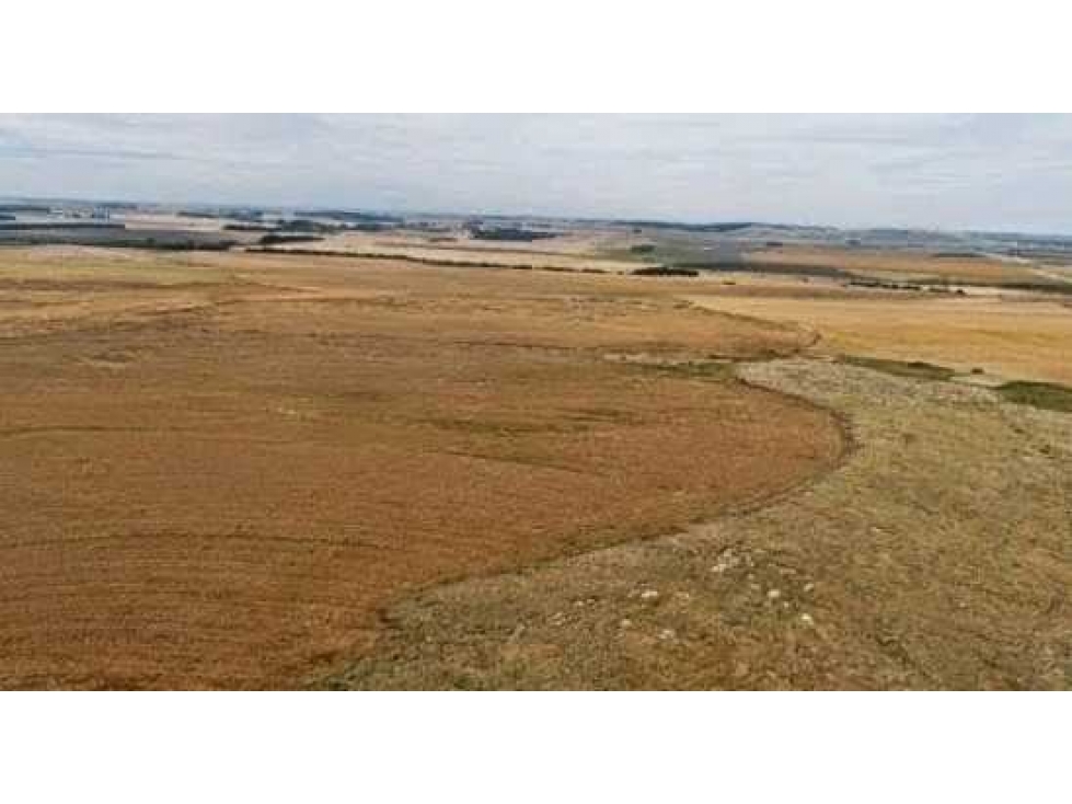 CAMPO 1007 HECTAREAS,AGRICOLA, TANDIL, BUENOS AIRES, ARGENTINA - 3