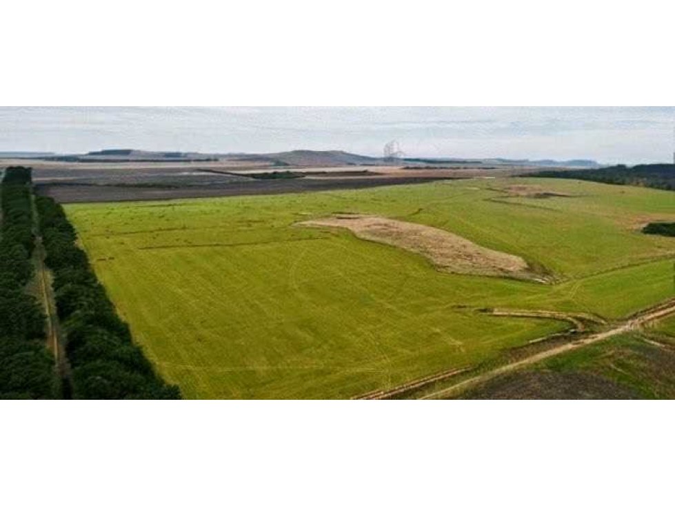 CAMPO 1007 HECTAREAS,AGRICOLA, TANDIL, BUENOS AIRES, ARGENTINA - 4