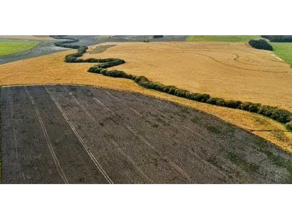 CAMPO 1007 HECTAREAS,AGRICOLA, TANDIL, BUENOS AIRES, ARGENTINA - 5