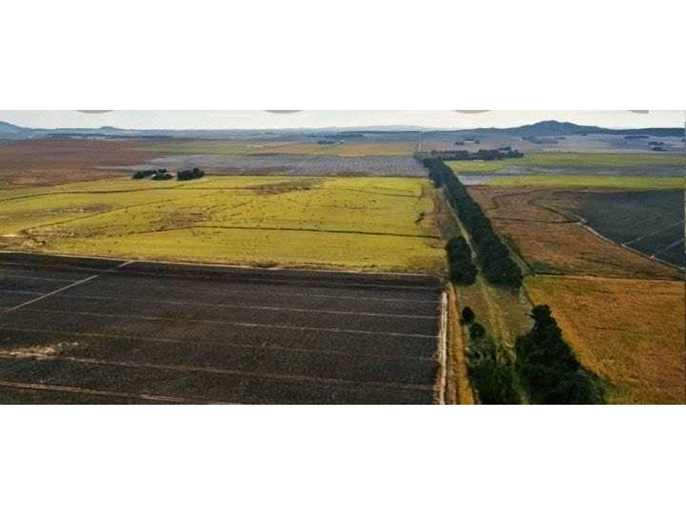 CAMPO 1007 HECTAREAS,AGRICOLA, TANDIL, BUENOS AIRES, ARGENTINA - 6