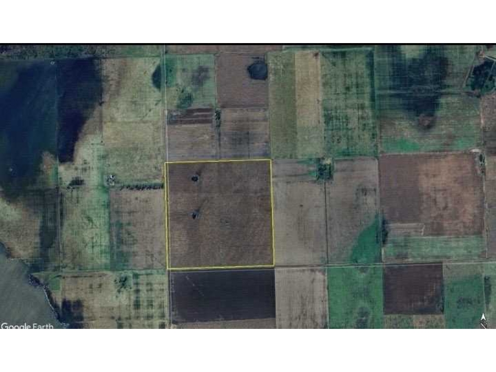 CAMPO 100 HAS, AGRICOLA, GENERAL VILLEGAS, BUENOS AIRES, ARGENTINA - 3