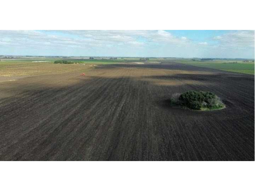 CAMPO 100 HECTAREAS, AGRICOLA, BALCARCE, BUENOS AIRES, ARGENTINA - 3