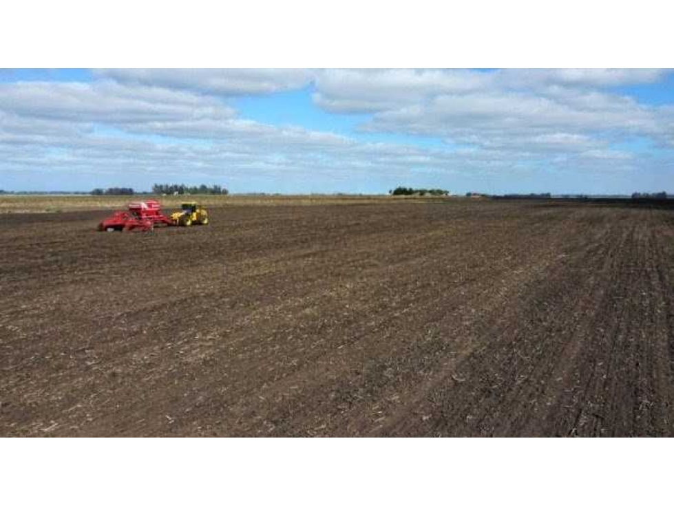 CAMPO 100 HECTAREAS, AGRICOLA, BALCARCE, BUENOS AIRES, ARGENTINA - 4