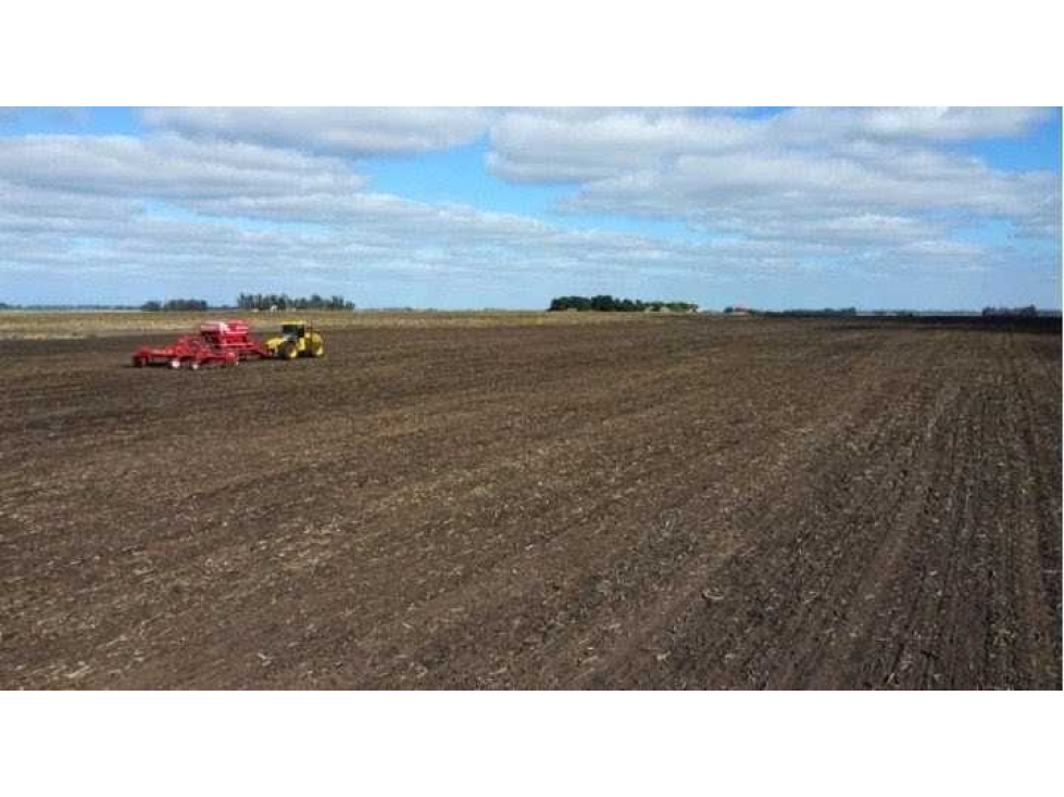 CAMPO 100 HECTAREAS, AGRICOLA, BALCARCE, BUENOS AIRES, ARGENTINA - 5