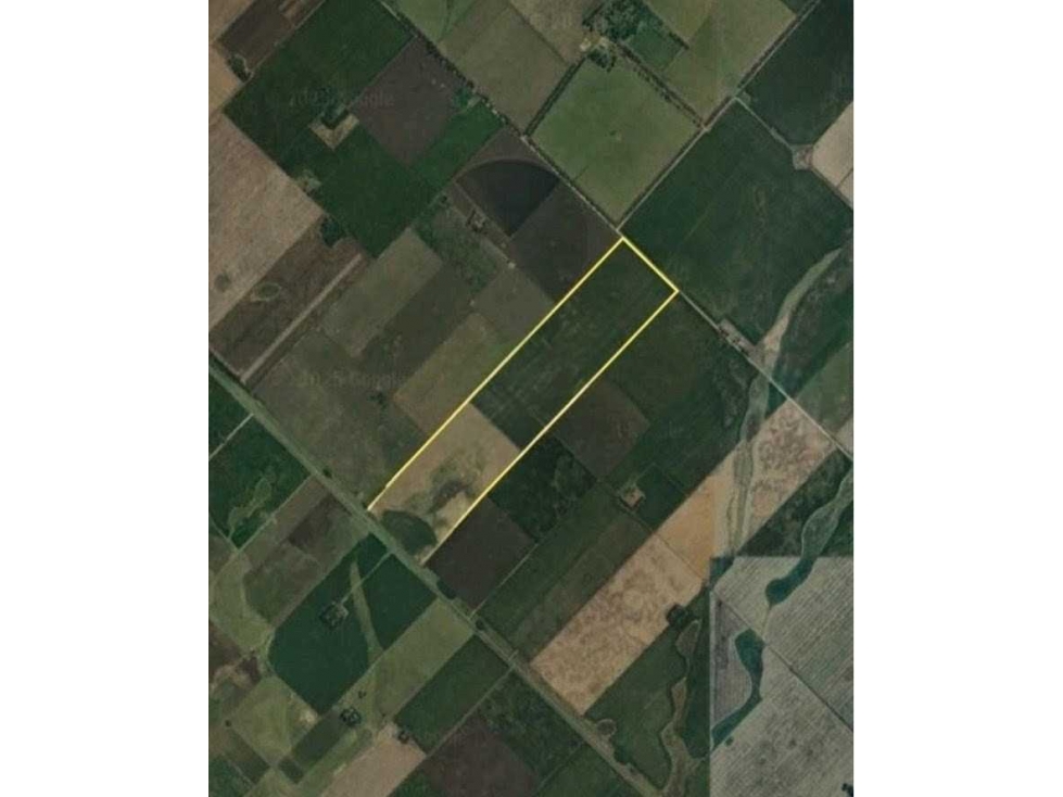 CAMPO 100 HECTAREAS, AGRICOLA, BALCARCE, BUENOS AIRES, ARGENTINA - 6