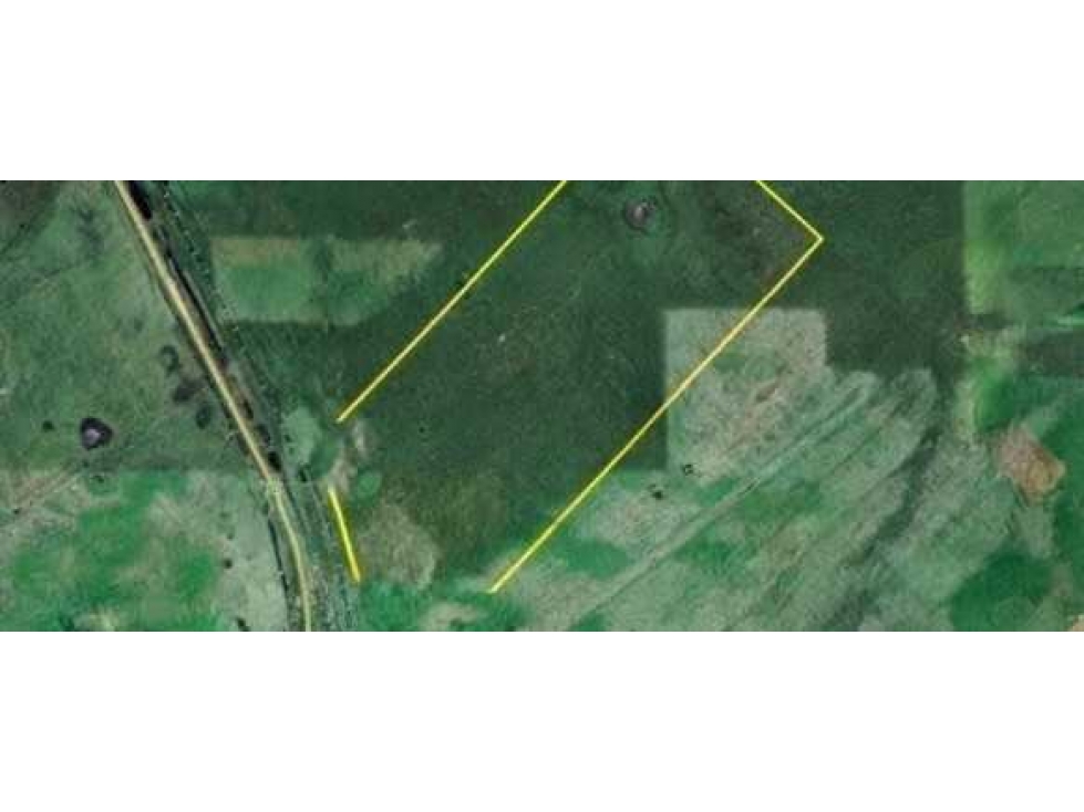 CAMPO 100 HECTAREAS, GANADERO, PILA, BUENOS AIRES, ARGENTINA - 2