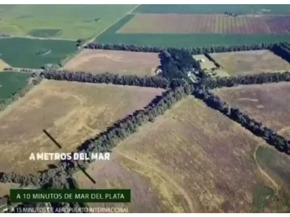 CAMPO 103 HAS, AGRICOLA, GENERAL PUEYRREDON, BUENOS AIRES, ARGENTINA