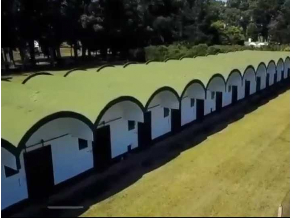 CAMPO 103 HAS, AGRICOLA, GENERAL PUEYRREDON, BUENOS AIRES, ARGENTINA — foto 4