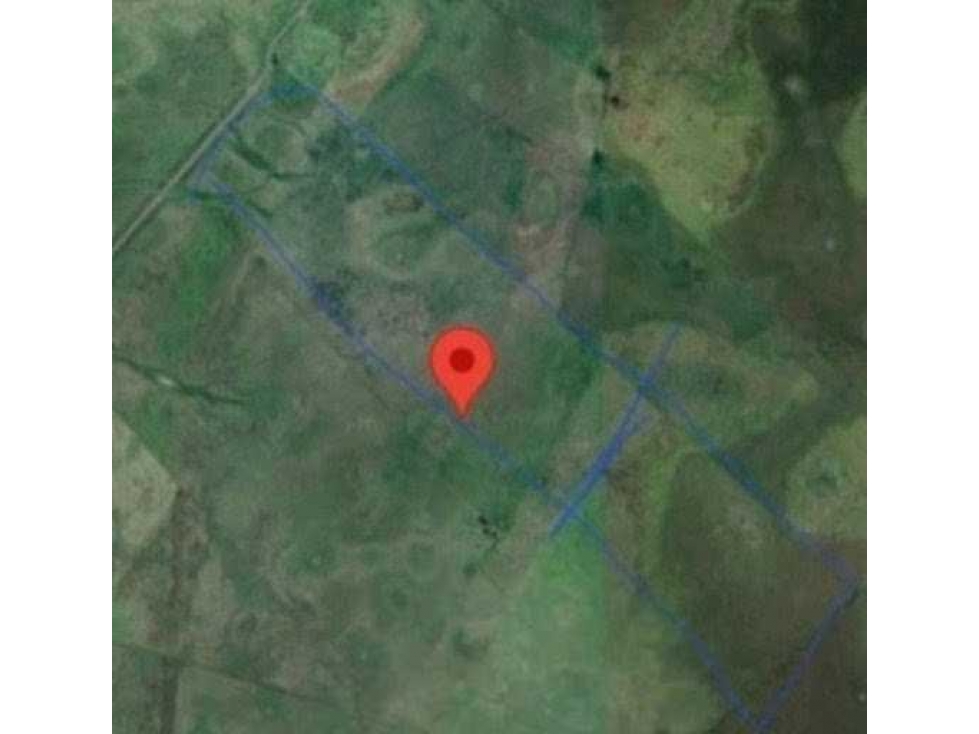 CAMPO 103 HECTAREAS GANADERO, PILA, BUENOS AIRES, ARGENTINA - 2
