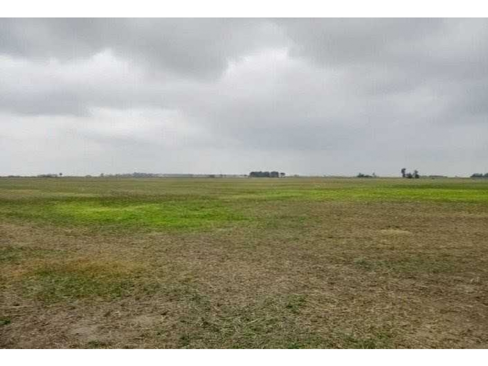 CAMPO 104 HECTAREAS, AGRICOLA, AREQUITO, SANTA FE, ARGENTINA - 2
